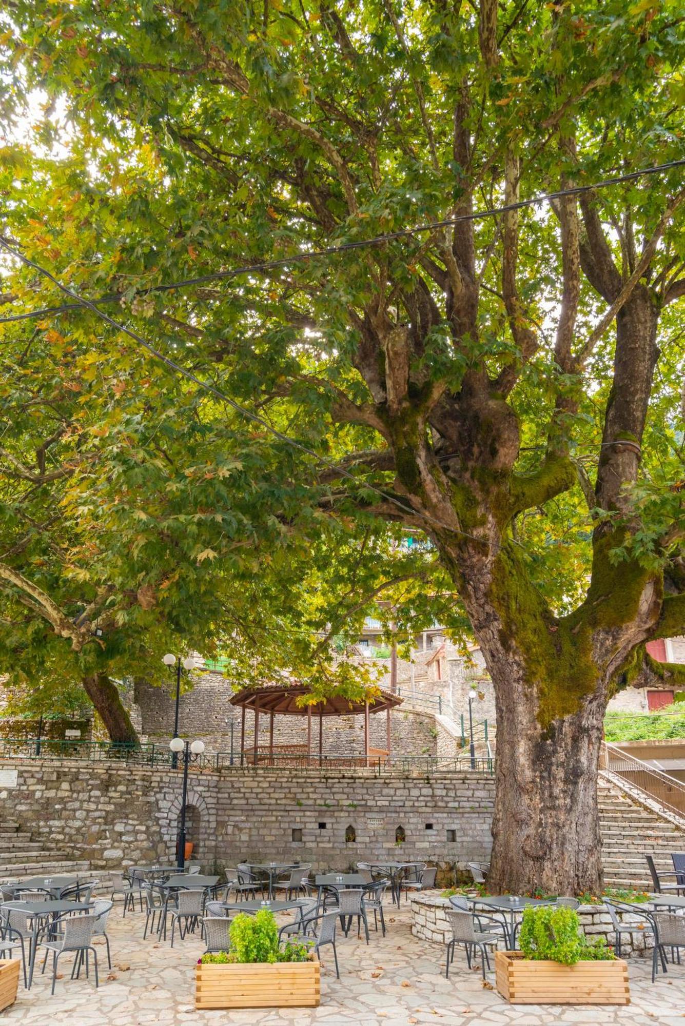 Helidona Hotel Mikro Chorio  ภายนอก รูปภาพ